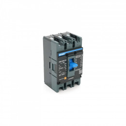 CHINT NXM-125S-3300-125A
