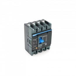 CHINT NXM-125S-4300B-125A