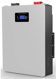 SVC 51.2V 100Ah 5120Wh, WіFі (FBP48-100)