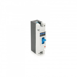 YRO YRM1Z-125-125A-MCCB-1P