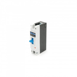 YRO YRM1Z-250-250A-MCCB-1P
