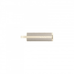 Xiaomi QBH4370GL Sound Outdoor Gold (1168141)