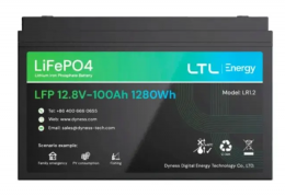 Dyness LR1.2, 12.8V/100Аh 1,28kWh (LR1.2)
