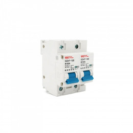 Voltronic YT-DZ47-125-2P-100A