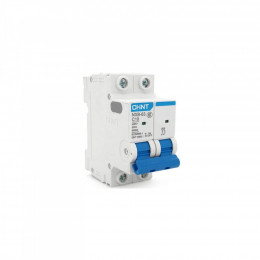 CHINT NXB-63-2P-C10