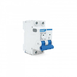 CHINT NXB-63-2P-C16
