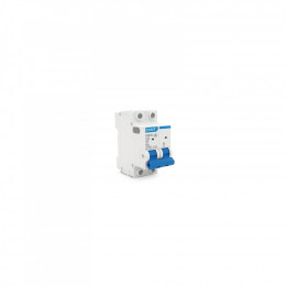 CHINT NXB-63-2P-C20