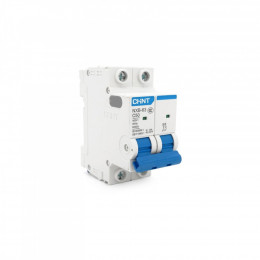 CHINT NXB-63-2P-C50