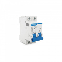 CHINT NXB-63-2P-C63