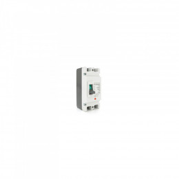 Voltronic M1-125/2300Z/100A