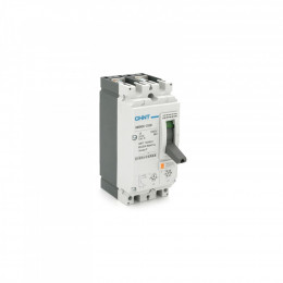 CHINT NM8NDC-250B-DC500V-2P