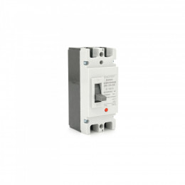 Voltronic JSM1-125L/2300, 100A