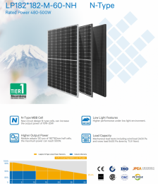 Leapton Solar LP182M60-NH-490W (N-type Black frame)