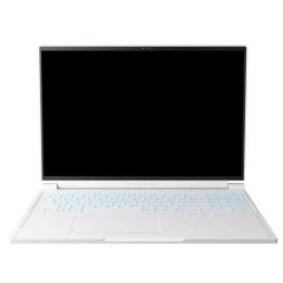 Thunderobot RS16 (RS16-R9985HX57TE1Q240ARC)