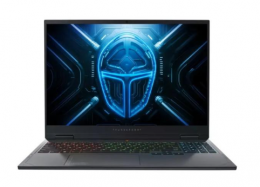 Thunderobot R16 Gray (1NLYB000015) EU