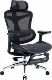 SIHOO Doro C300L with Footrest Black (DORO-C300L-A3-101-JT)