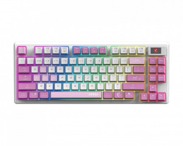 MSI FORGE GK600 TKL W VIOLET UA 83key mechanical Linear (S11-43UAQ01-HH9)