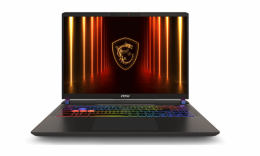 MSI Vector 16 HX A13VHG Cosmo Gray (A13VHG-46322) EU