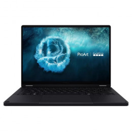 ASUS ProArt GoPro Edition HN7306EAC-LX045X (90NB17X2-M002C0)