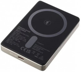 Intenso MW10000 10000mAh 20W/Qi 15W Champagne (7344031)