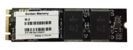 Golden Memory 256 GB (AM256CGB)