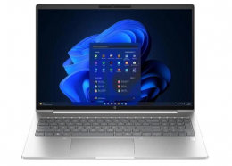 HP ProBook 460 G11 (A38DPET) EU