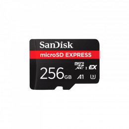 SanDisk 256GB microSDXC class 10 UHS-I U3 A1 Express (SDSQXFN-256G-GN4NN)