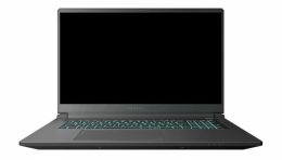 Thunderobot 911 X17 (911X17-13620H5070Q165HDUS) EU