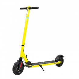 Atlas 0810 Yellow (1096)