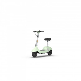 OKAI Ceetle PRO EA10C 10 900 Вт 10.4 Ah Mint Green (EA10C-MG)