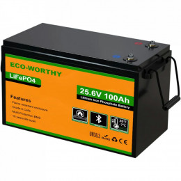 Eco-Worthy-251002