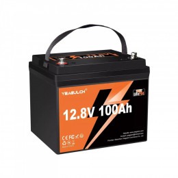 LiFePo4 YEAGULCH 12.8V 100Ah Mini Max (YEAGULCH-12,8V/100Ah Max)
