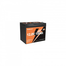 LiFePo4 YEAGULCH 12.8V 100Ah Mini (YEAGULCH-12,8V/100Ah Mini)