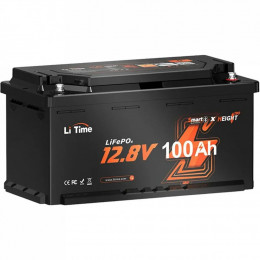 LiTime L12V100-100-H190-BT4AC150