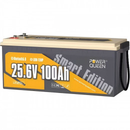 Power Queen P24V100-100-BASIC-BT-8-A1