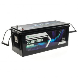 Longttech 24V - 100Ah (LAR24100-LT160-P)