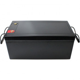 PowerPlant 24V 200Ah, LFP24200 (NV820641)