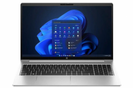 HP ProBook 450 G10 (9Y7G3ET_16_256_custom) EU