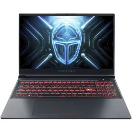 Thunderobot R16 (R16-R97945HX57TE1Q300RG)