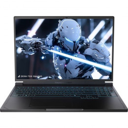 Thunderobot RS16 (RS16-R97945HX57TC1Q240ARB16)