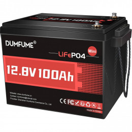 Dumfume LiFePO4 12V (12.8V/100Ah/1280Wh) (Dum-12,8V/100Ah-MINI MAX)