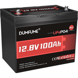 Dumfume LiFePO4 12V (12.8V/100Ah/1280Wh) (Dumfume-12,8V/100Ah-MINI)
