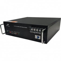 Ritar LiFePO4 48V (48V/100Ah/4800Wh) (R-LFP48V100Ah)