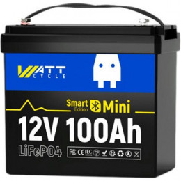 WattCycle LiFePO4 12V(12.8/100Ah/1280Wh) (WT12V100AH100MINIBT)