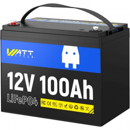 WattCycle LiFePO4 12V(12.8/100Ah/1280Wh) (WT12V100AH100)