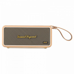 2E SoundLegend PowerBank IPX6 RGB Brown (2E-BSSLWBN)