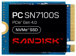 SanDisk PC SN7100S 256 GB (SDFPTSK-256G)
