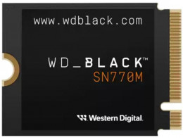 Western Digital Black SN770M 2230 PCIe 4.0 x4 NVMe 500GB (WDS500G3X0G-00CHY0)