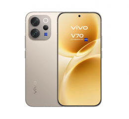 Vivo V70 12/256GB Alpine Gray (Global Version)