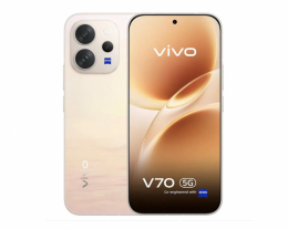 Vivo V70 12/256GB Golden Hour (Global Version)
